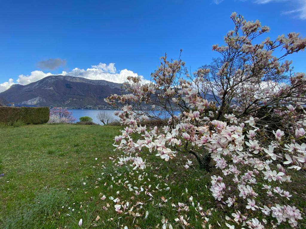 La Roseliere Sud, Vue Lac & Jardin Sévrier Esterno foto